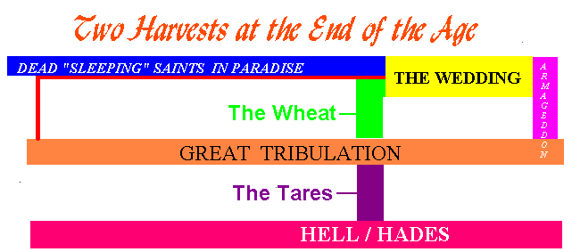 The Two Harvests at the End of the Age (Revelation Chapter 14)